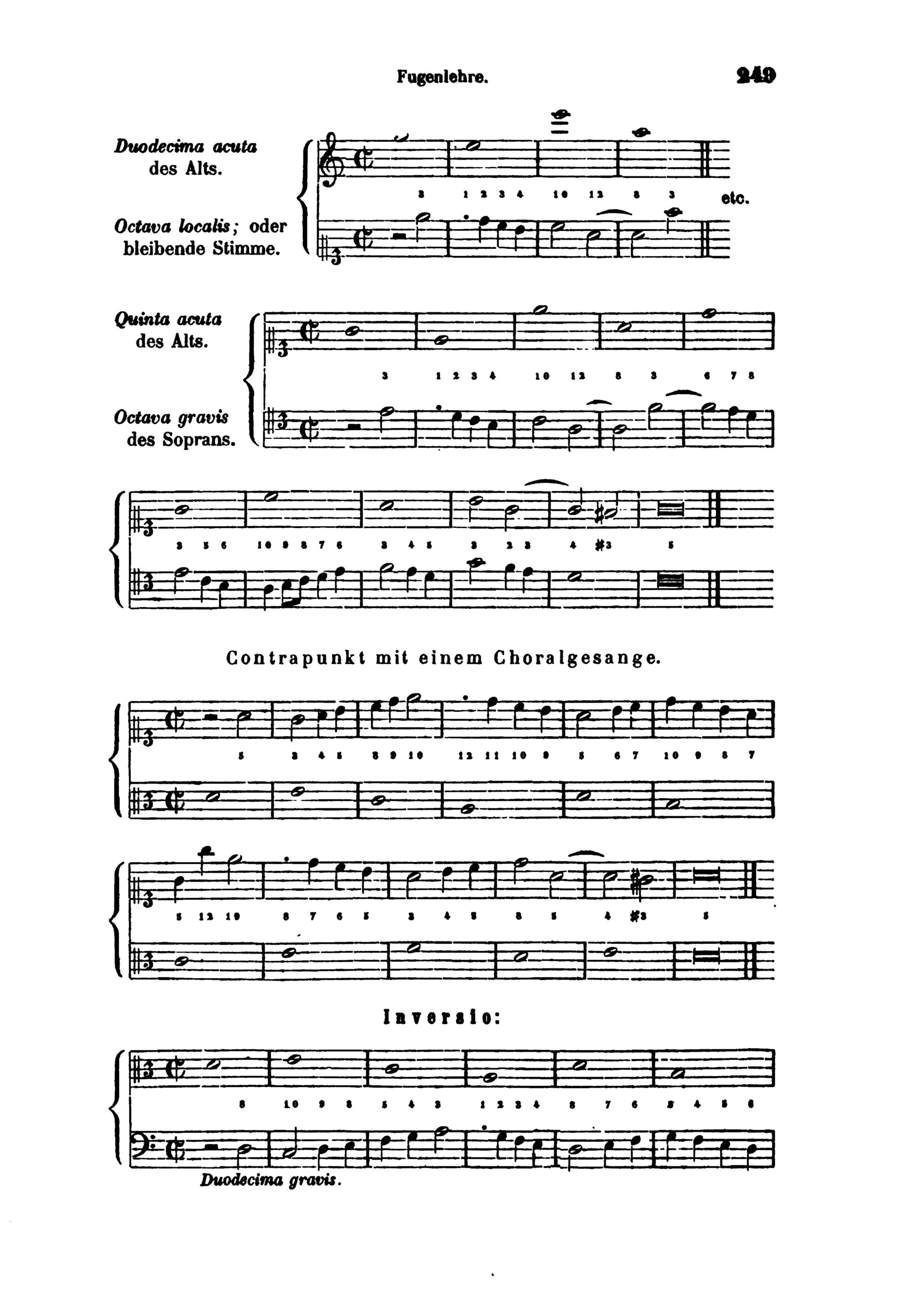 Studien im Generalbass, Contrapunkt und in der Compositionslehre2