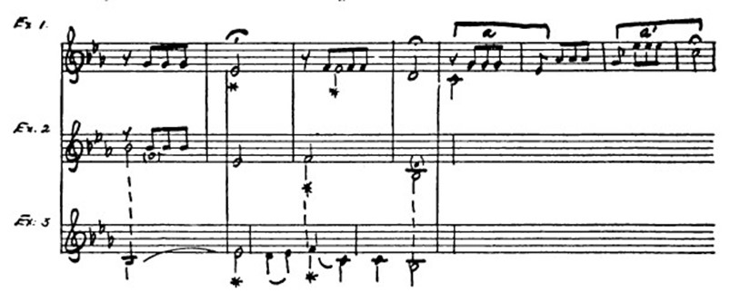 Brahms_Immagine1